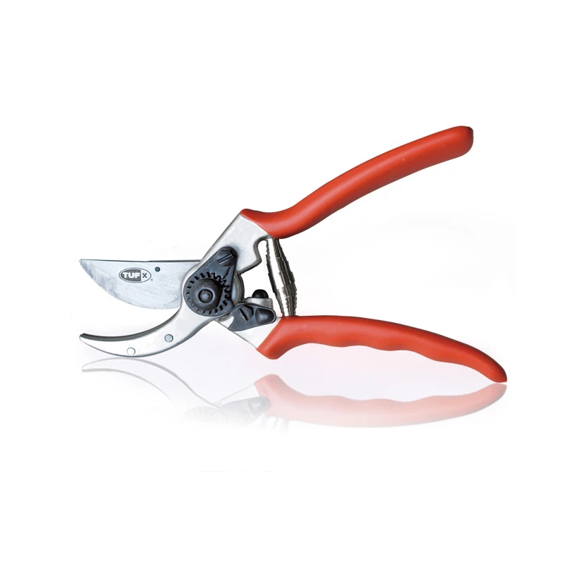 Pruning Shear