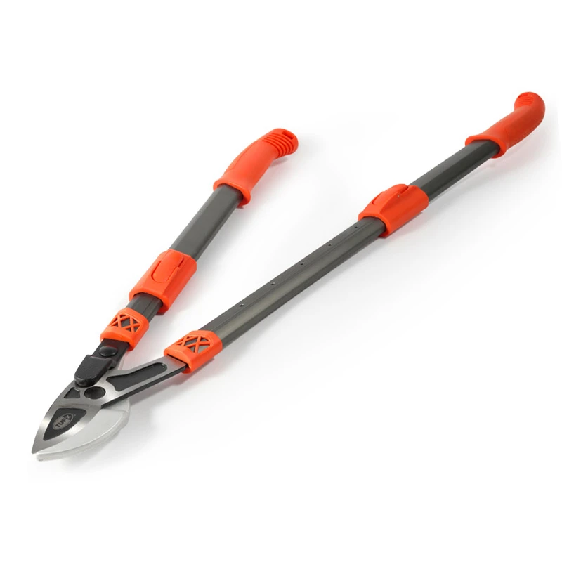 Extendable Lopper
