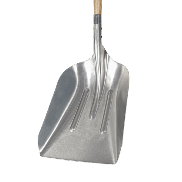 Grain Scoop