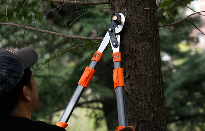 Precision Pruning with Extended Reach