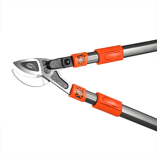 Extendable Lopper