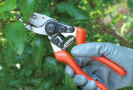 Types of Garden Cutting Tools