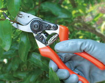 Garden Cutting Tools