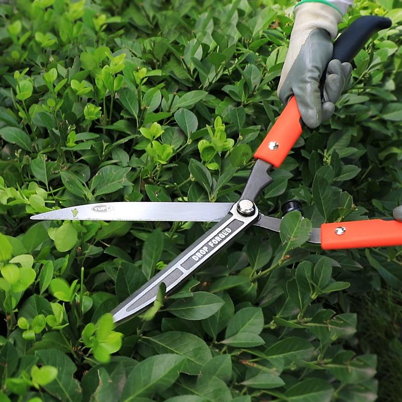 The Difference and Uses of Garden Shears and Regular Scissors