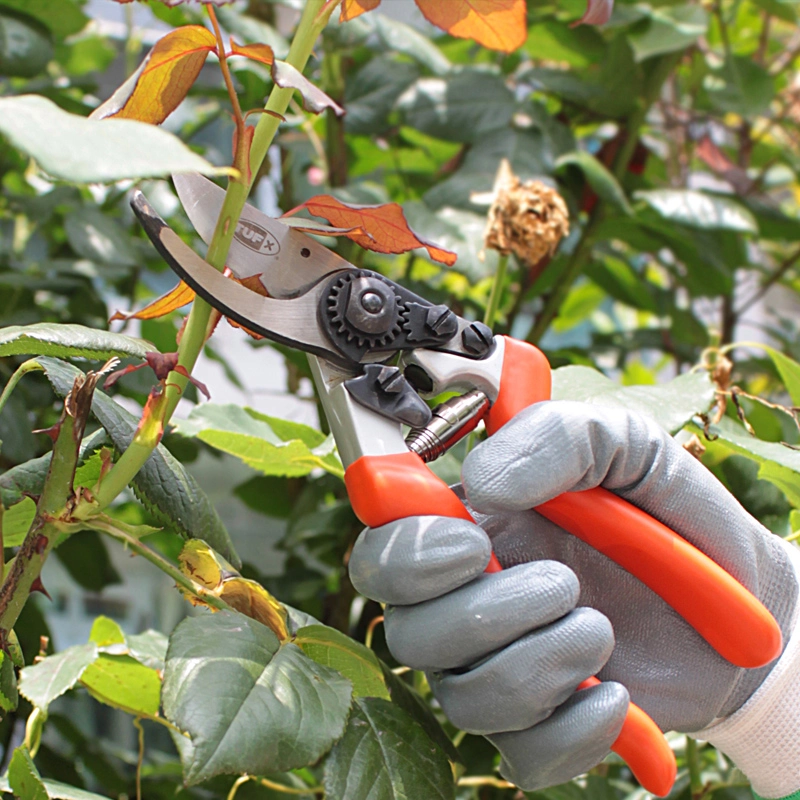 The Benefits of SK-5 Japanese Pruning Shears