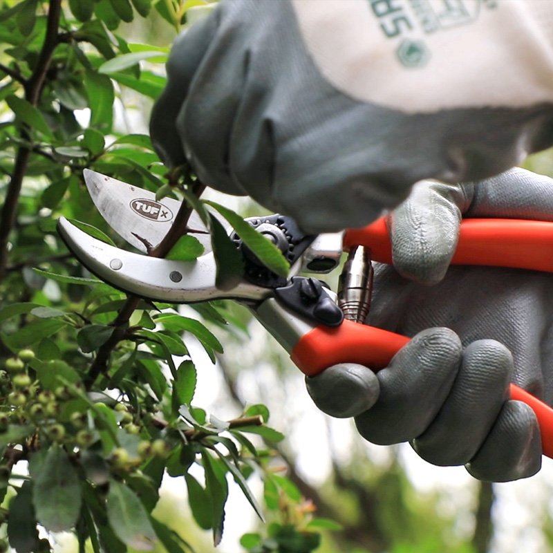 Professional_bypass_pruner26101-2.jpg