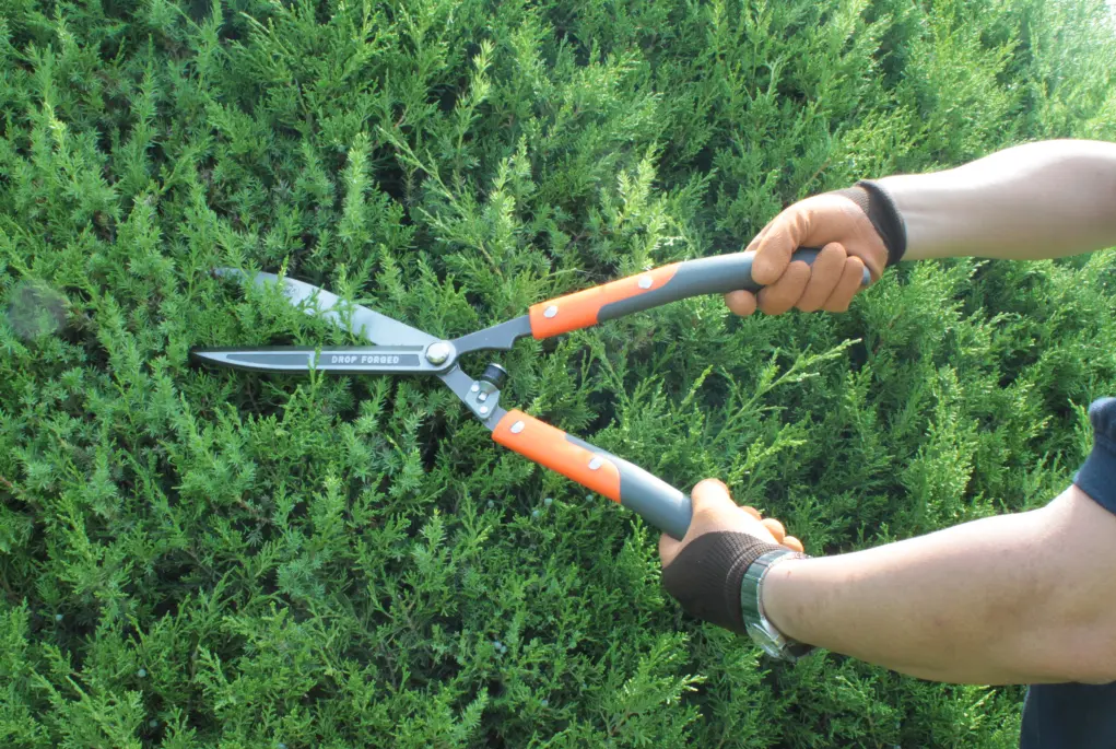 Experiencing the Benefits and Advantages of Using Garden Cutting Tools